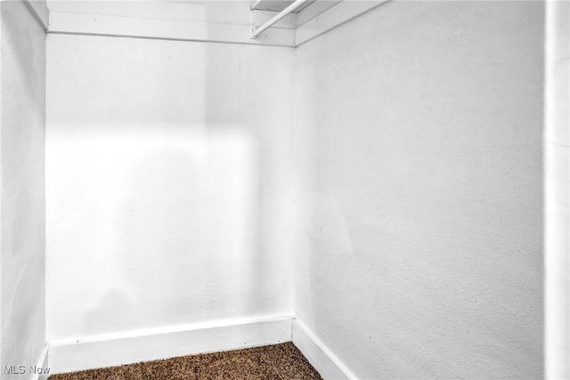 walk in closet with carpet