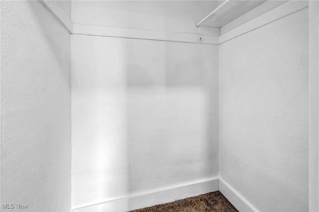 walk in closet with carpet flooring