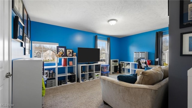 carpeted living area with a textured ceiling