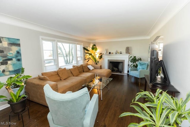 living area featuring crown molding, wood finished floors, and a fireplace with raised hearth