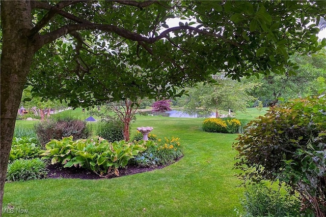 view of yard featuring a water view