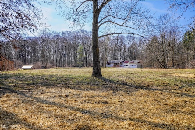 view of yard featuring a wooded view