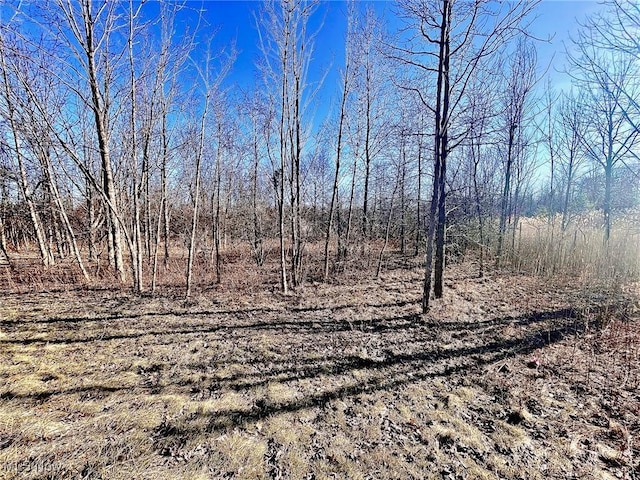 E Wallings Rd, Broadview Heights OH, 44147 land for sale