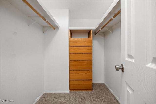 walk in closet with carpet flooring