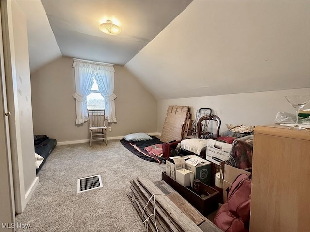 additional living space with visible vents, baseboards, carpet, and vaulted ceiling