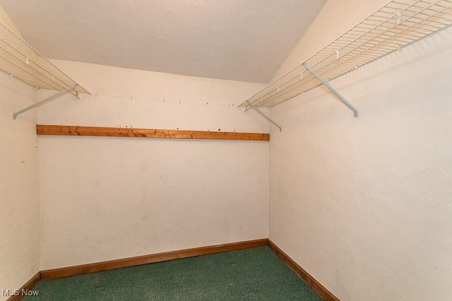 walk in closet featuring carpet flooring