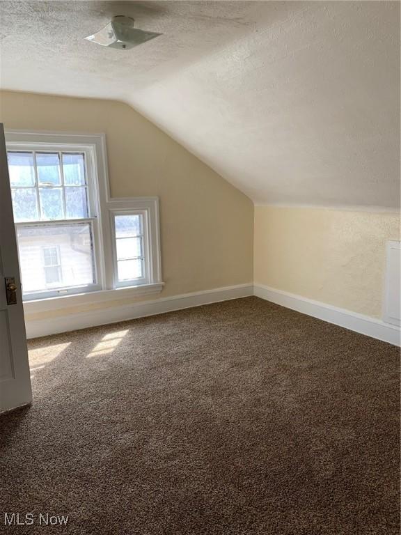 additional living space with vaulted ceiling, carpet, baseboards, and a textured ceiling