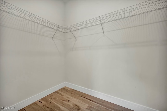 spacious closet featuring light wood finished floors