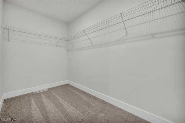 spacious closet with visible vents and carpet floors