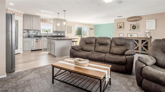 living area with light wood-style floors, a ceiling fan, visible vents, and ornamental molding