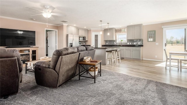 living area featuring visible vents, crown molding, baseboards, ceiling fan, and light wood-type flooring