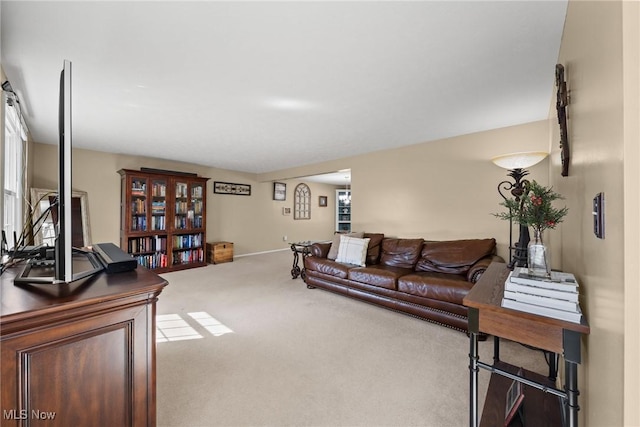 living area featuring carpet