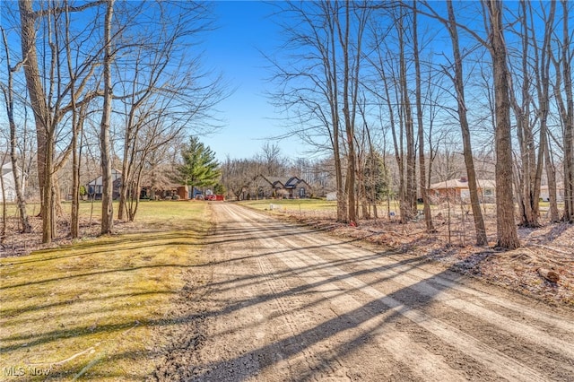 view of street featuring driveway