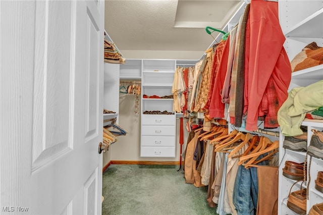 walk in closet with carpet flooring