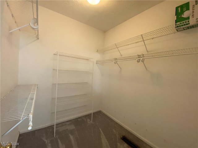 walk in closet featuring carpet flooring