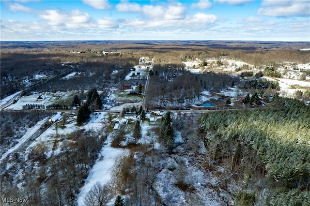 view of snowy aerial view