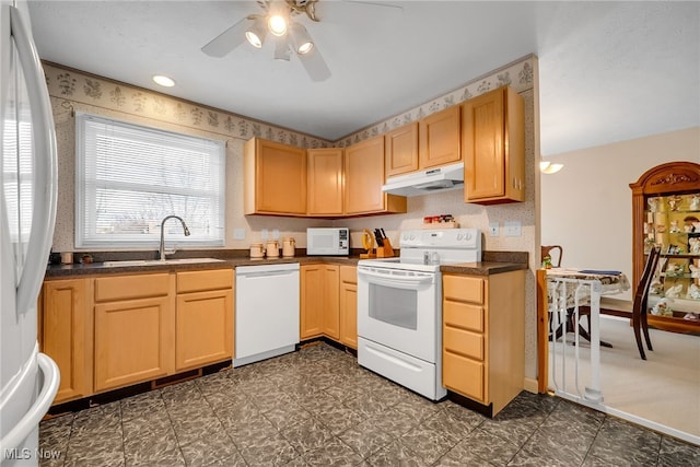 kitchen with white appliances, a ceiling fan, a sink, under cabinet range hood, and dark countertops