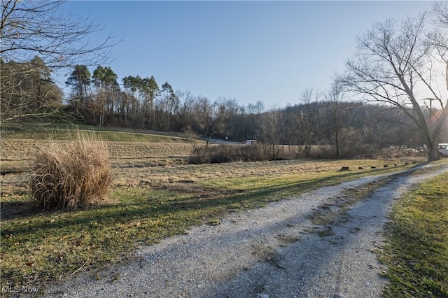 view of road