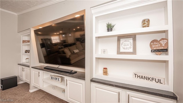 details featuring built in shelves, a textured ceiling, crown molding, and carpet floors