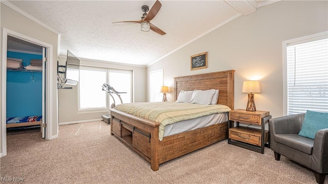 bedroom featuring ornamental molding, vaulted ceiling, a spacious closet, a textured ceiling, and light colored carpet