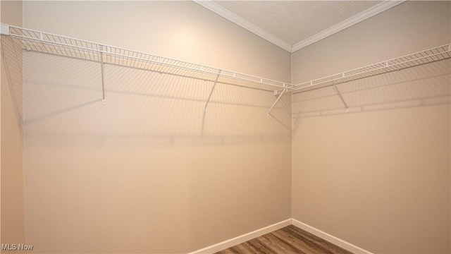 spacious closet with wood finished floors