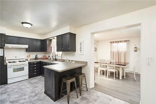 kitchen with a sink, under cabinet range hood, a peninsula, a breakfast bar area, and white gas range