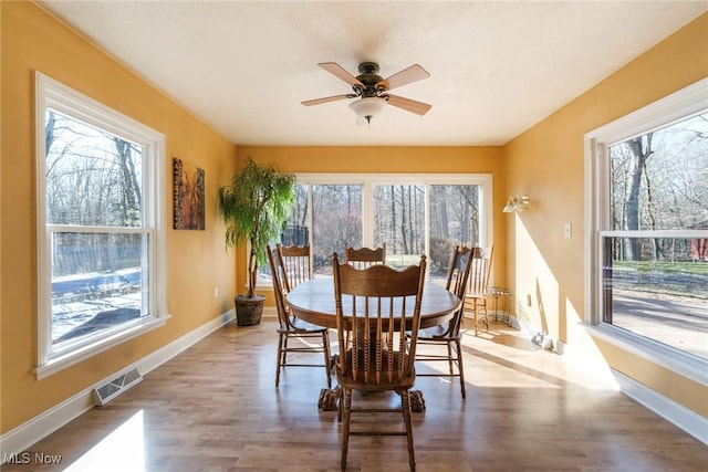 dining room with plenty of natural light, wood finished floors, visible vents, and ceiling fan