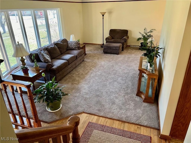 living room featuring wood finished floors and baseboards