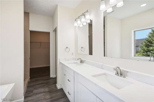 bathroom featuring a sink, a walk in closet, wood finished floors, and double vanity