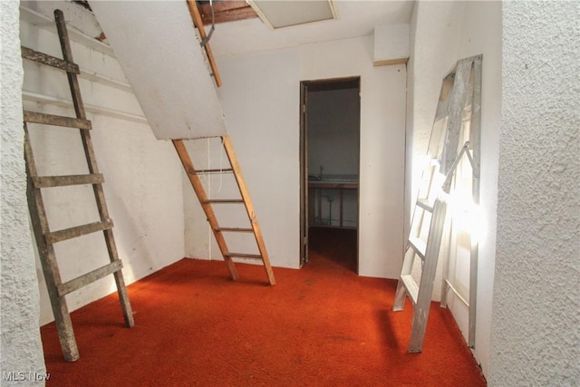 interior space featuring carpet floors