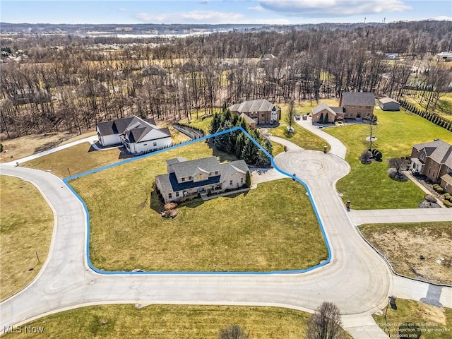 bird's eye view with a view of trees