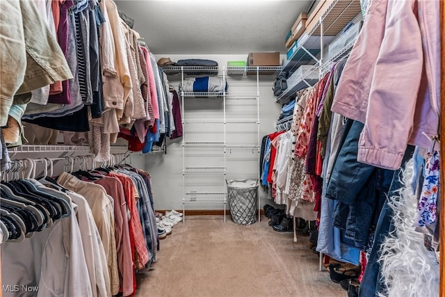 walk in closet featuring carpet flooring