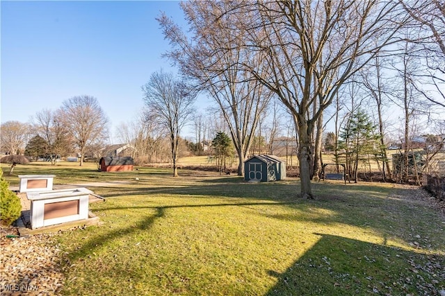 view of yard with an outbuilding and a storage unit