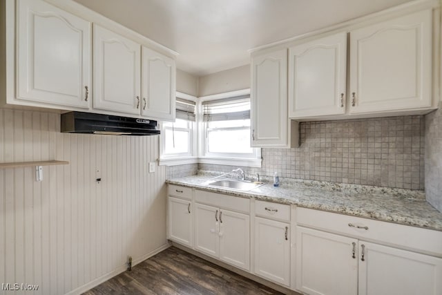 kitchen featuring a sink, backsplash, white cabinetry, light stone countertops, and dark wood-style flooring