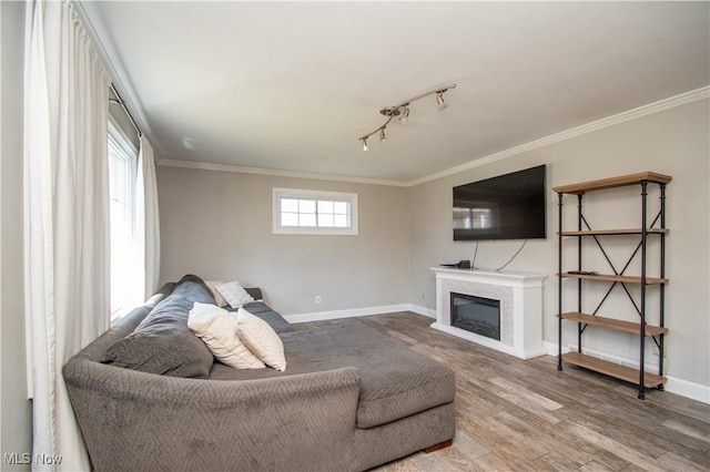 living room featuring a glass covered fireplace, baseboards, wood finished floors, and ornamental molding