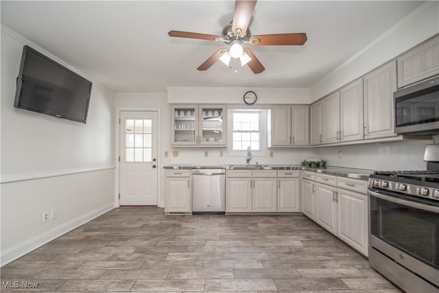 kitchen with a ceiling fan, a sink, glass insert cabinets, appliances with stainless steel finishes, and light wood-type flooring