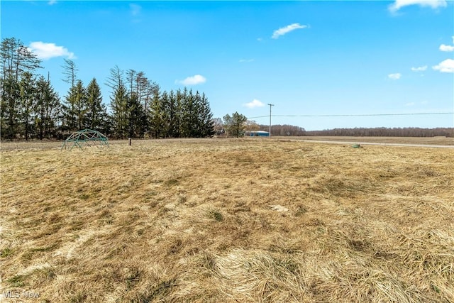 view of yard with a rural view