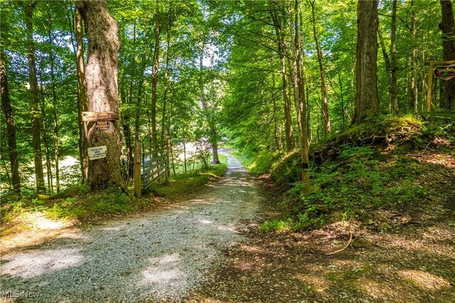 view of road featuring a forest view