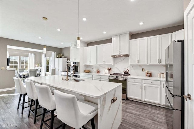 kitchen featuring backsplash, under cabinet range hood, stainless steel appliances, white cabinetry, and a sink