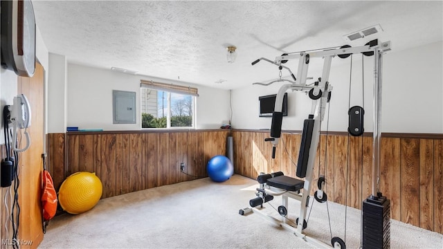 exercise room featuring electric panel, wooden walls, and wainscoting