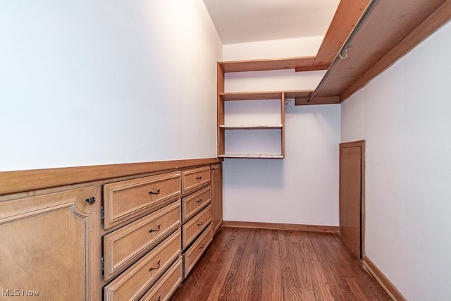 walk in closet with dark wood-style floors