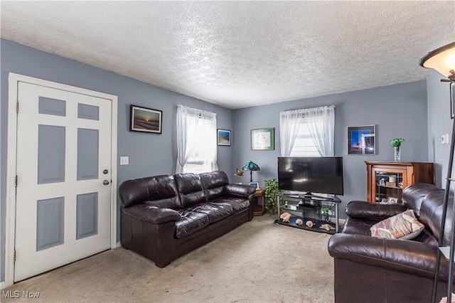 carpeted living area featuring a textured ceiling