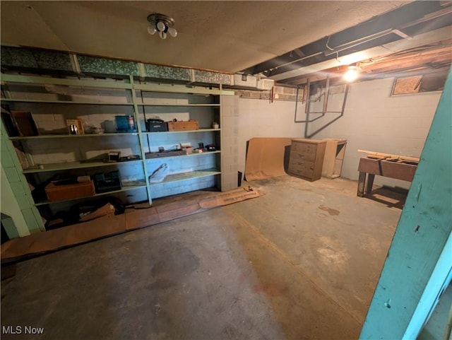 unfinished below grade area with concrete block wall