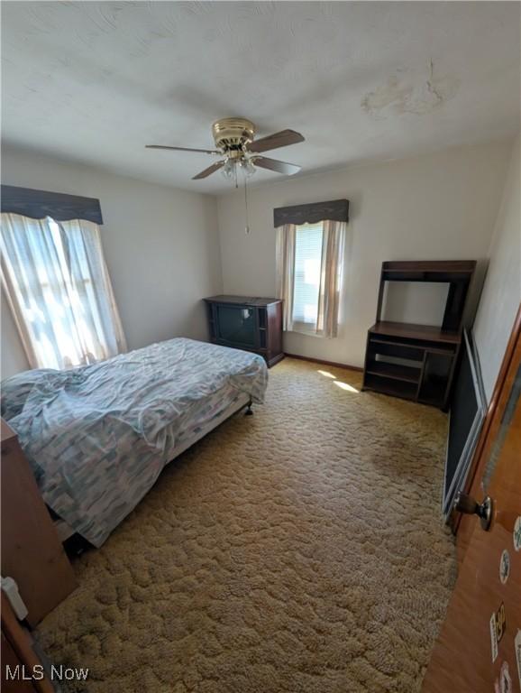 bedroom with ceiling fan
