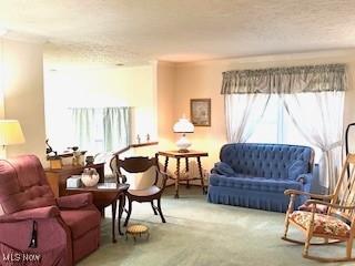 sitting room with carpet flooring, a healthy amount of sunlight, and a textured ceiling