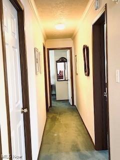 hall featuring concrete flooring and crown molding