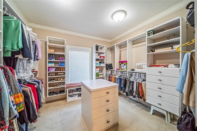 spacious closet with light colored carpet