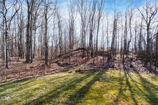 421 Hills Creek Rd, Brookfield, OH 44403 - view of yard