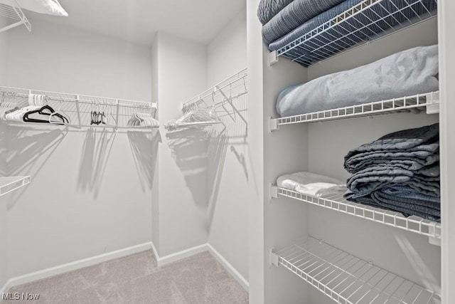 walk in closet featuring carpet floors