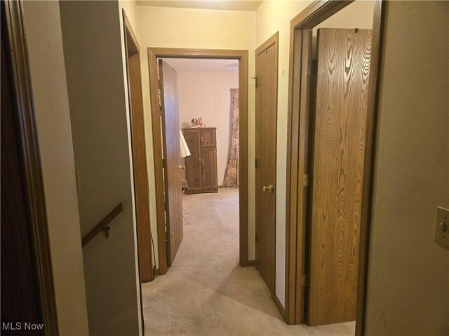 11213 Ashbury Ave, Cleveland, OH 44106 - photo 14